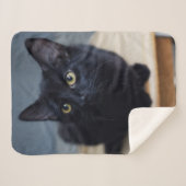 最も可愛い赤ん坊の動物 |黒猫のポートレート シェルパブランケット (正面(横))