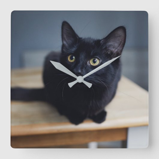 最も可愛い赤ん坊の動物 |黒猫のポートレート スクエア壁時計 (正面)