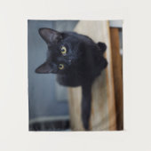 最も可愛い赤ん坊の動物 |黒猫のポートレート タペストリー (正面)