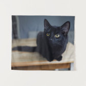 最も可愛い赤ん坊の動物 |黒猫のポートレート タペストリー (正面(横))