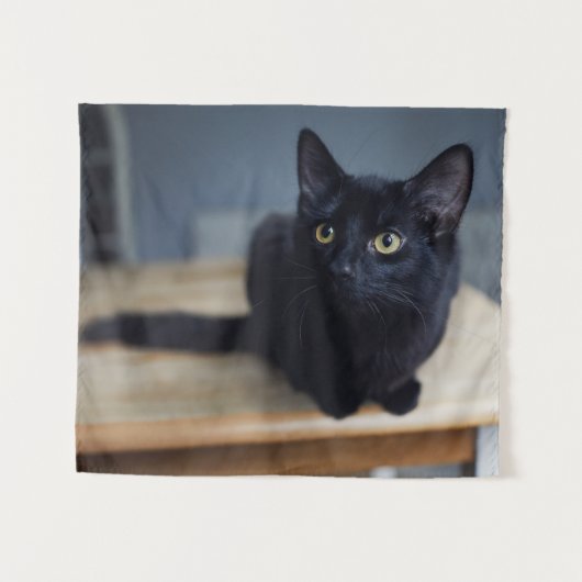 最も可愛い赤ん坊の動物 |黒猫のポートレート タペストリー (正面(横))