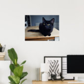 最も可愛い赤ん坊の動物 |黒猫のポートレート ポスター (ホームオフィス)