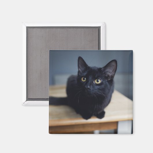最も可愛い赤ん坊の動物 |黒猫のポートレート マグネット (正面/裏面)