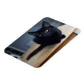 最も可愛い赤ん坊の動物 |黒猫のポートレート マグネット (左側)