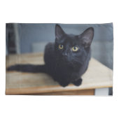 最も可愛い赤ん坊の動物 |黒猫のポートレート 枕カバー (裏面)