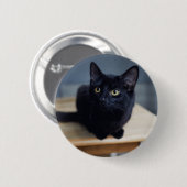 最も可愛い赤ん坊の動物 |黒猫のポートレート 缶バッジ (正面&裏面)