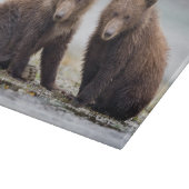 最も可愛い赤ん坊の動物 | 2つのクマの子ネコ カッティングボード (角)