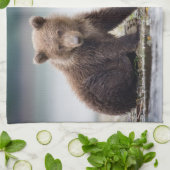 最も可愛い赤ん坊の動物 | 2つのクマの子ネコ キッチンタオル (折り畳み)