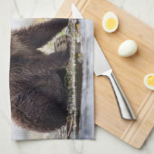最も可愛い赤ん坊の動物 | 2つのクマの子ネコ キッチンタオル (四つ折り)