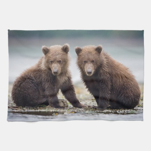 最も可愛い赤ん坊の動物 | 2つのクマの子ネコ キッチンタオル (横)