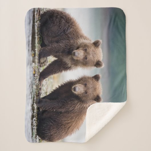 最も可愛い赤ん坊の動物 | 2つのクマの子ネコ シェルパブランケット (正面)