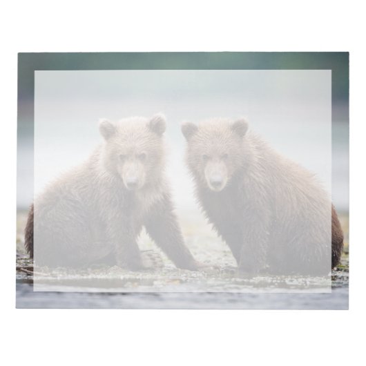 最も可愛い赤ん坊の動物 | 2つのクマの子ネコ ノートパッド (正面)