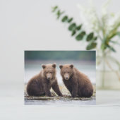 最も可愛い赤ん坊の動物 | 2つのクマの子ネコ ポストカード (スタンド正面)