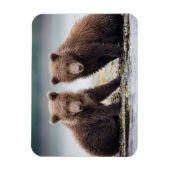 最も可愛い赤ん坊の動物 | 2つのクマの子ネコ マグネット (縦)
