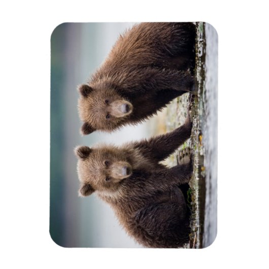 最も可愛い赤ん坊の動物 | 2つのクマの子ネコ マグネット (縦)