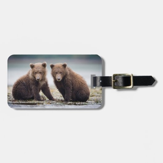 最も可愛い赤ん坊の動物 | 2つのクマの子ネコ ラゲッジタグ (正面横)