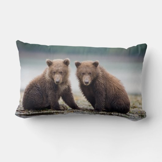 最も可愛い赤ん坊の動物 | 2つのクマの子ネコ ランバークッション (裏面)