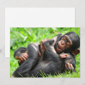 最も可愛い赤ん坊の動物 | 2つのチンパンジー サンキューカード (正面/裏面)