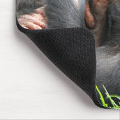 最も可愛い赤ん坊の動物 | 2つのチンパンジー マウスパッド (コーナー)