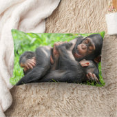 最も可愛い赤ん坊の動物 | 2つのチンパンジー ランバークッション (ブランケット)