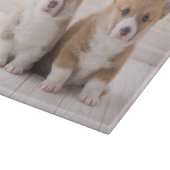 最も可愛い赤ん坊の動物 | 2つのベビーコーギス座り カッティングボード (角)