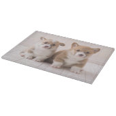 最も可愛い赤ん坊の動物 | 2つのベビーコーギス座り カッティングボード (角)