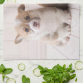 最も可愛い赤ん坊の動物 | 2つのベビーコーギス座り キッチンタオル (折り畳み)