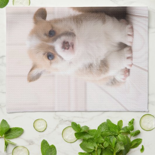 最も可愛い赤ん坊の動物 | 2つのベビーコーギス座り キッチンタオル (折り畳み)