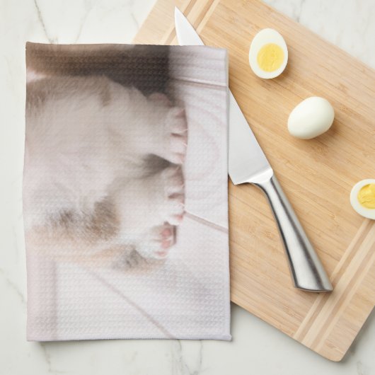 最も可愛い赤ん坊の動物 | 2つのベビーコーギス座り キッチンタオル (四つ折り)