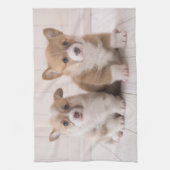 最も可愛い赤ん坊の動物 | 2つのベビーコーギス座り キッチンタオル (縦)