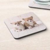 最も可愛い赤ん坊の動物 | 2つのベビーコーギス座り コースター (左側)