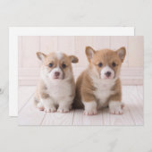 最も可愛い赤ん坊の動物 | 2つのベビーコーギス座り サンキューカード (正面/裏面)