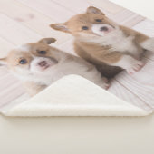 最も可愛い赤ん坊の動物 | 2つのベビーコーギス座り シェルパブランケット (3/4)