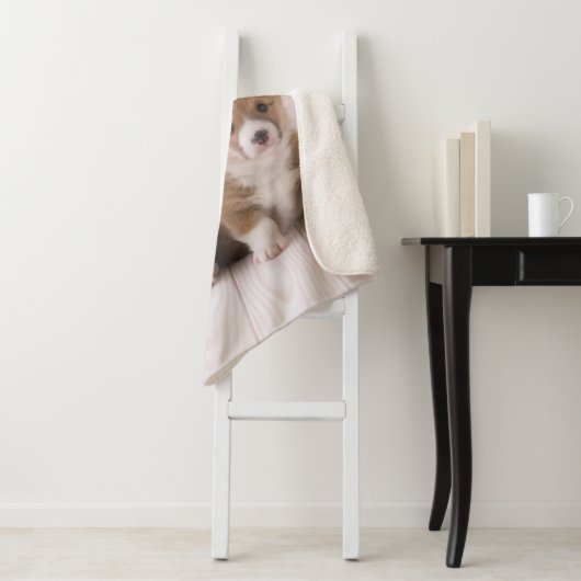 最も可愛い赤ん坊の動物 | 2つのベビーコーギス座り シェルパブランケット (インサイチュ)