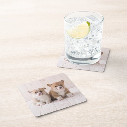 最も可愛い赤ん坊の動物 | 2つのベビーコーギス座り スクエアペーパーコースター (インサイチュ)