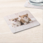 最も可愛い赤ん坊の動物 | 2つのベビーコーギス座り スクエアペーパーコースター (アングル)