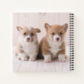 最も可愛い赤ん坊の動物 | 2つのベビーコーギス座り ノートブック (裏面)