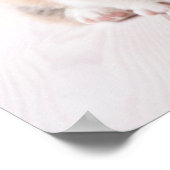 最も可愛い赤ん坊の動物 | 2つのベビーコーギス座り ポスター (角)