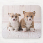 最も可愛い赤ん坊の動物 | 2つのベビーコーギス座り マウスパッド (正面)