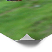 最も可愛い赤ん坊の動物 | 2つのベビー ポスター (角)