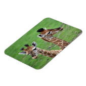 最も可愛い赤ん坊の動物 | 2つのベビー マグネット (左側)