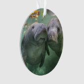 最も可愛い赤ん坊の動物 | 2つのマナティー オーナメント (正面)