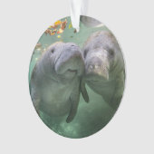 最も可愛い赤ん坊の動物 | 2つのマナティー オーナメント (正面)