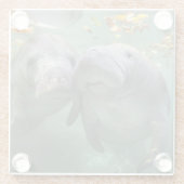 最も可愛い赤ん坊の動物 | 2つのマナティー ガラスコースター (裏面)