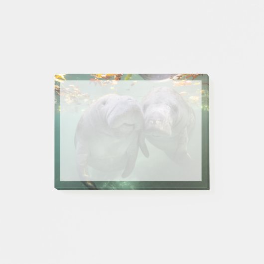 最も可愛い赤ん坊の動物 | 2つのマナティー ポストイット (正面)