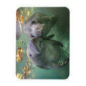 最も可愛い赤ん坊の動物 | 2つのマナティー マグネット (縦)