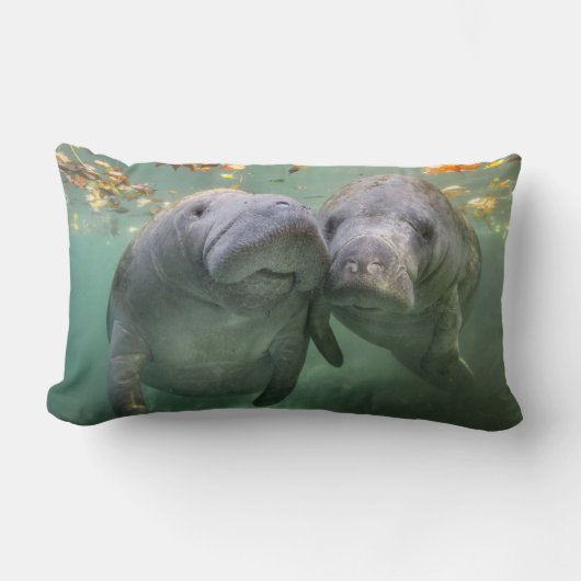 最も可愛い赤ん坊の動物 | 2つのマナティー ランバークッション (正面)
