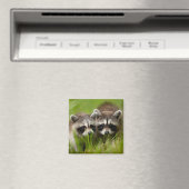 最も可愛い赤ん坊の動物 | 2つの若いアライグマ マグネット (インサイチュ (食洗機))