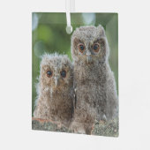 最も可愛い赤ん坊の動物 | 2つの若いフクロウ ガラスオーナメント (正面左)