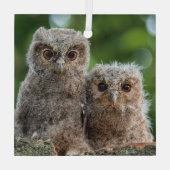 最も可愛い赤ん坊の動物 | 2つの若いフクロウ ガラスオーナメント (裏面)